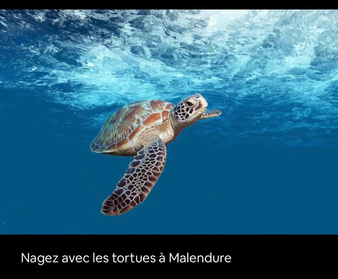 Gite Ti Papiyon Bouillante Esterno foto